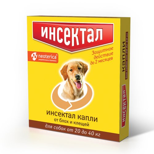 v1um93m62ymadg8k1b4jwsgkw1m27b0z