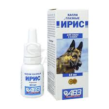 Без названия (1)