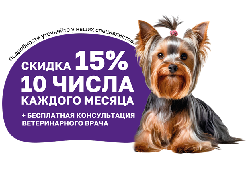 День здоровья в ветаптеке в Краснодаре!