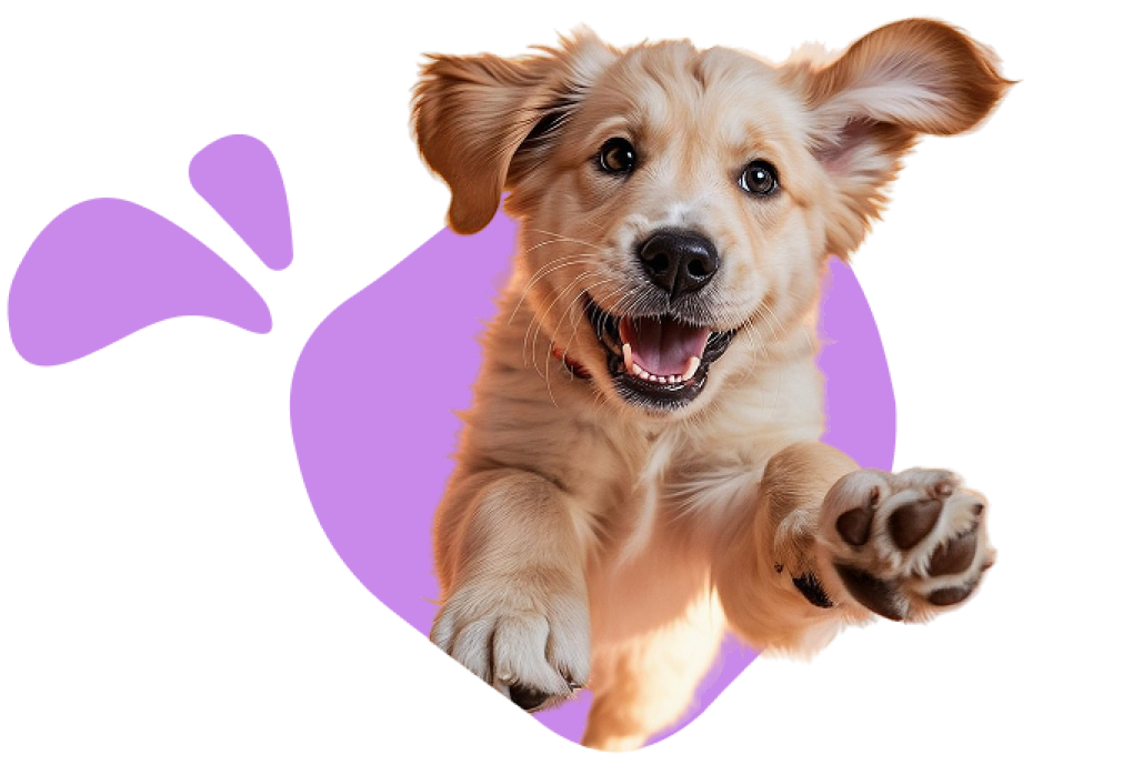 Ветеринарная аптека«Фармсервис»