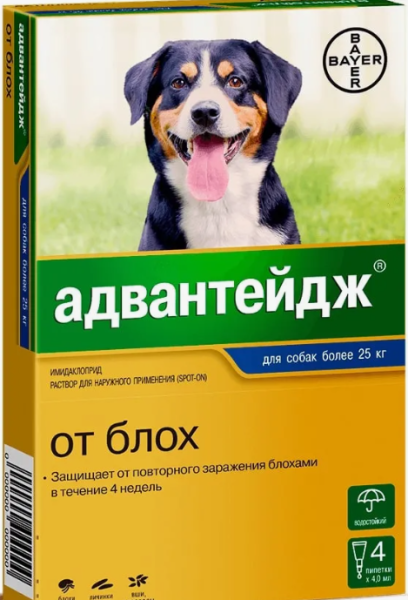Снимок экрана 2024-08-21 163026