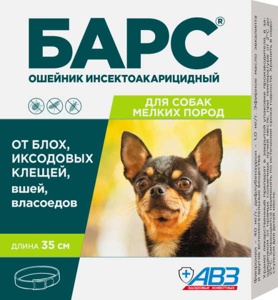 bars_osh_2022_4