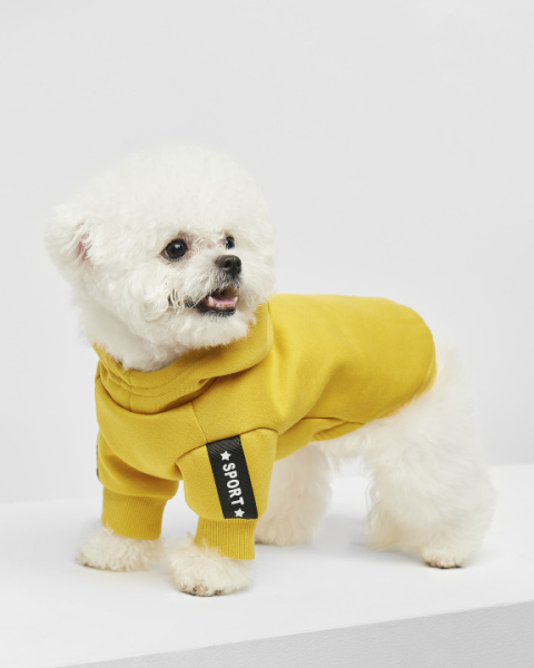 Кофта Puppy Gallery горчичная S