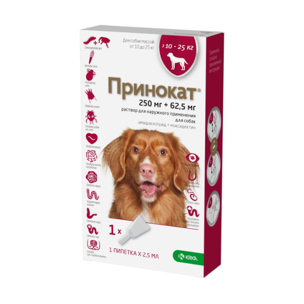 принокат