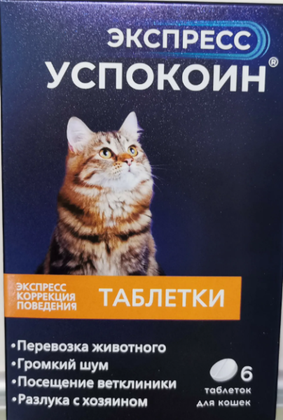 Снимок экрана 2024-08-21 125946