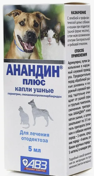 Снимок экрана 2024-08-22 084718