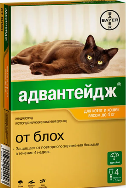 Снимок экрана 2024-08-21 162908